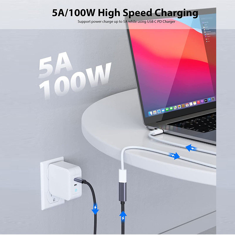 USB C TO USB C Cable 100W