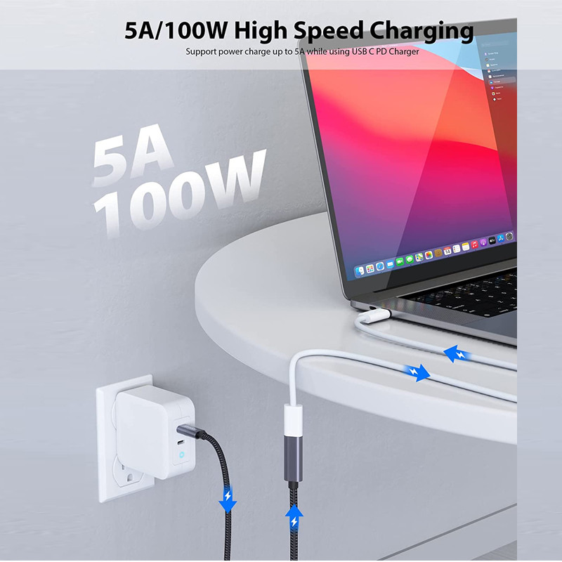 USB C ಯಿಂದ USB C ಕೇಬಲ್ 100W